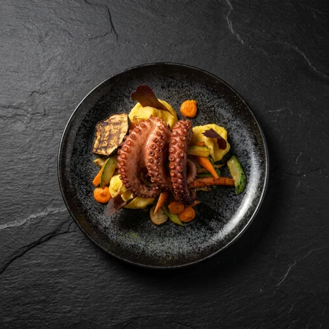 Polvo grelhado — Dark & Premium